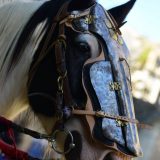 Cheval en armure