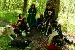 Combattants