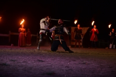 Combat médiéval